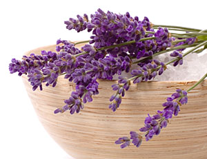 lavender for bath